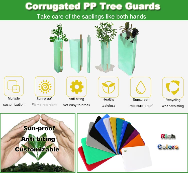 corflute tree guard