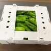 corrugated plastic box