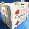 corrugated plastic fruit and vegetable boxes