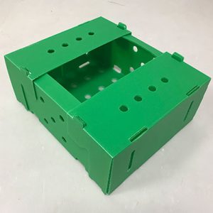 correx box