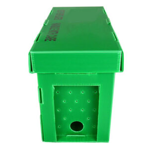 corrugated plastic nuc box