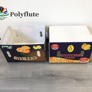 corflute boxes