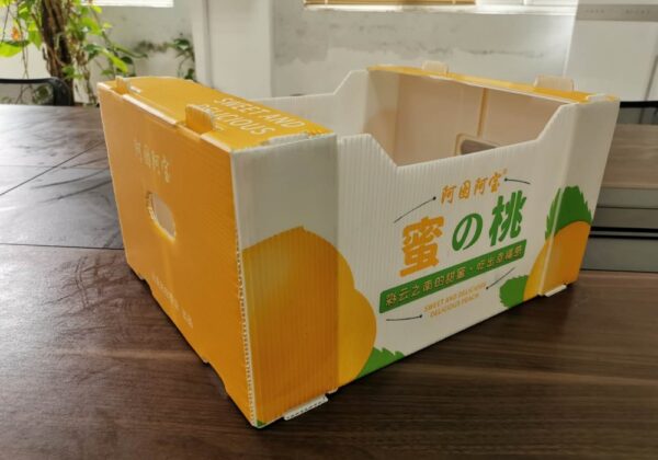 Corrugated polypropylene boxes for fruits - Image 2