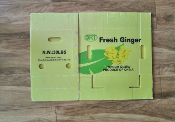 custom corrugated plastic boxes for Ginger - Image 3