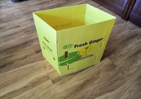 custom corrugated plastic boxes for Ginger