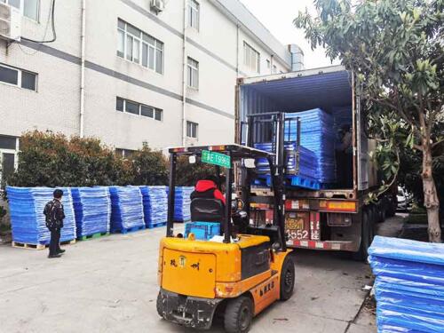 Blue Correx Tier Sheets Export to India